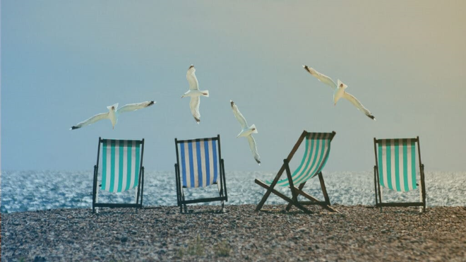 4 sillas playeras rodeadas de gaviotas en la playa